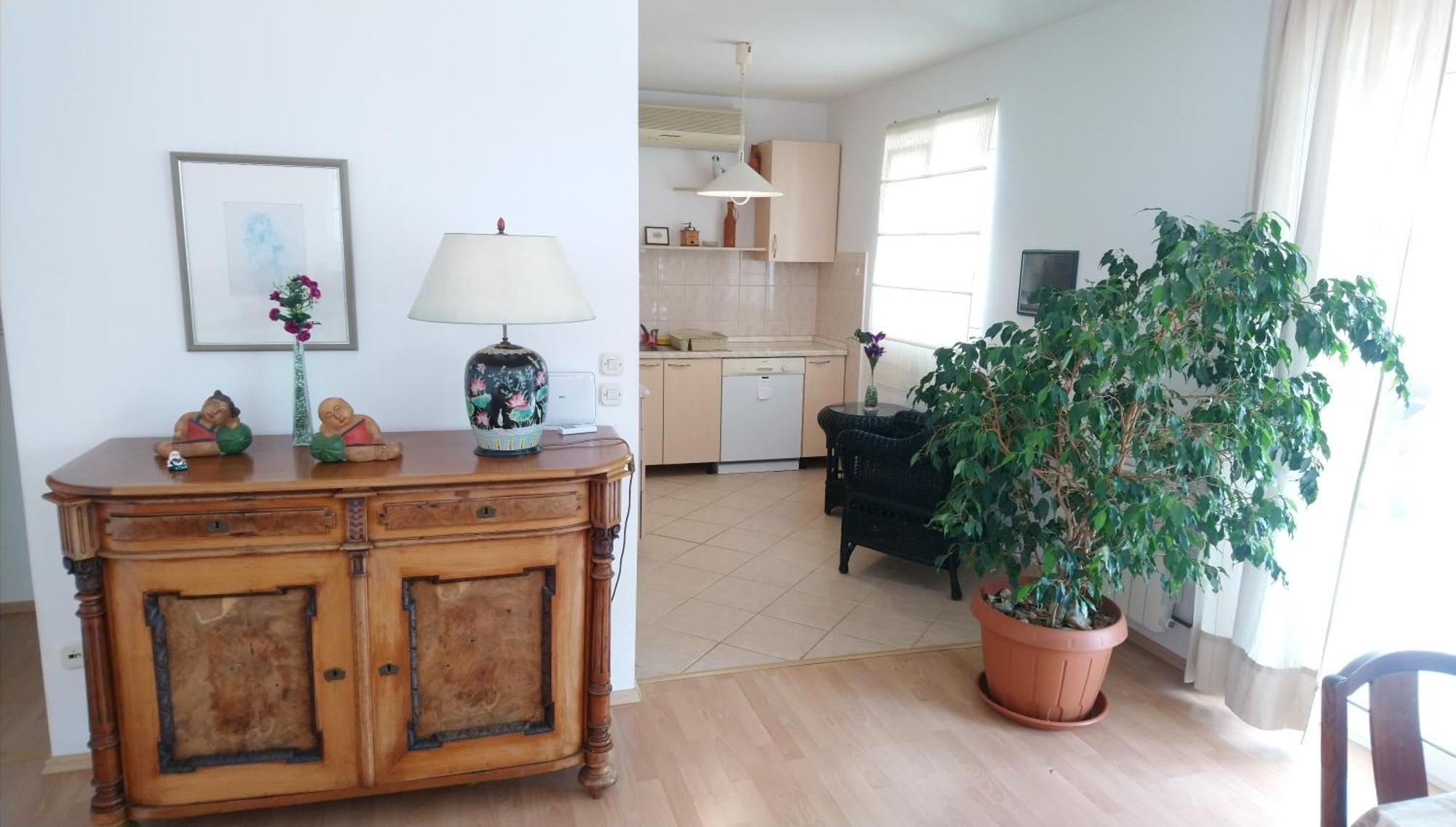 Apartmani Andrija Zivogosce Ngoại thất bức ảnh